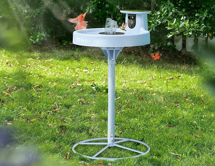 Birdfy Bath Pro
