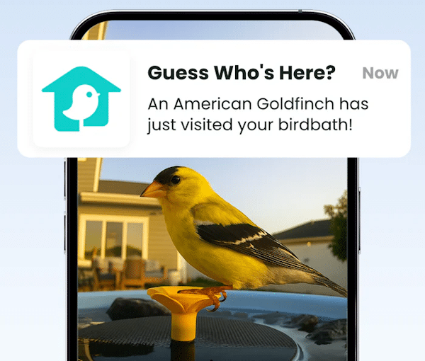 Birdfy App