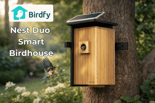 Birdfy Nest Duo smart birdhouse with dual cameras mounted outdoors in a backyard garden.