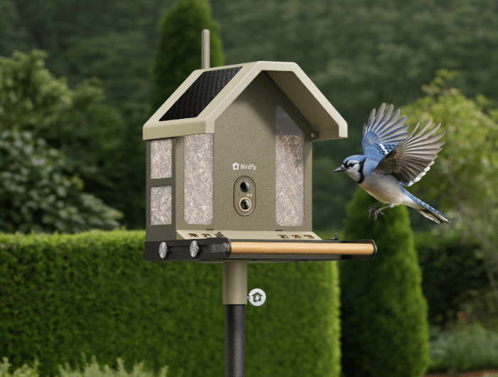 Birdfy Feeder Metal 2 4K