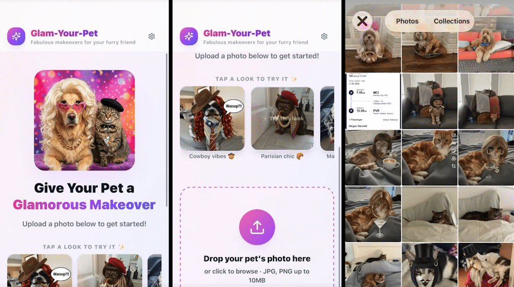 Glam Your Pet App