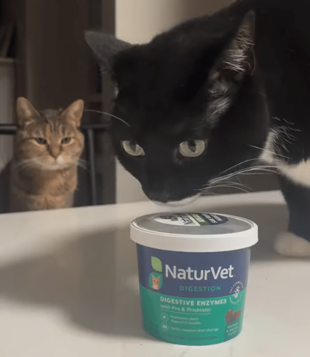 NaturVet Digestive Enzymes Soft Chews for Cats