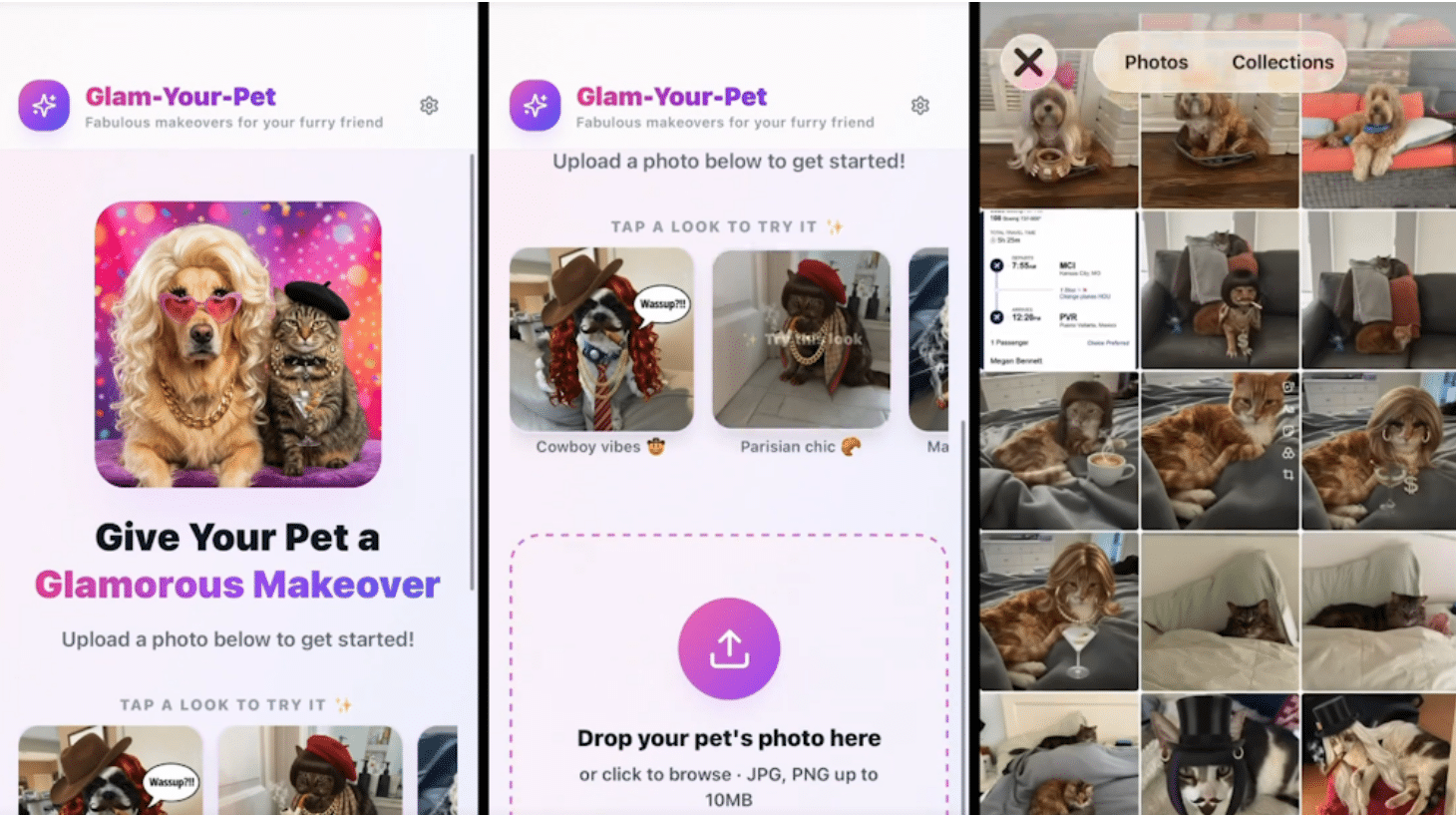Glam your pet