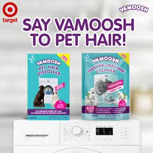 Vamoosh-ad-300x300 Try Vamoosh!