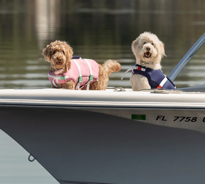 Line + Cleat Dog Life Jacket