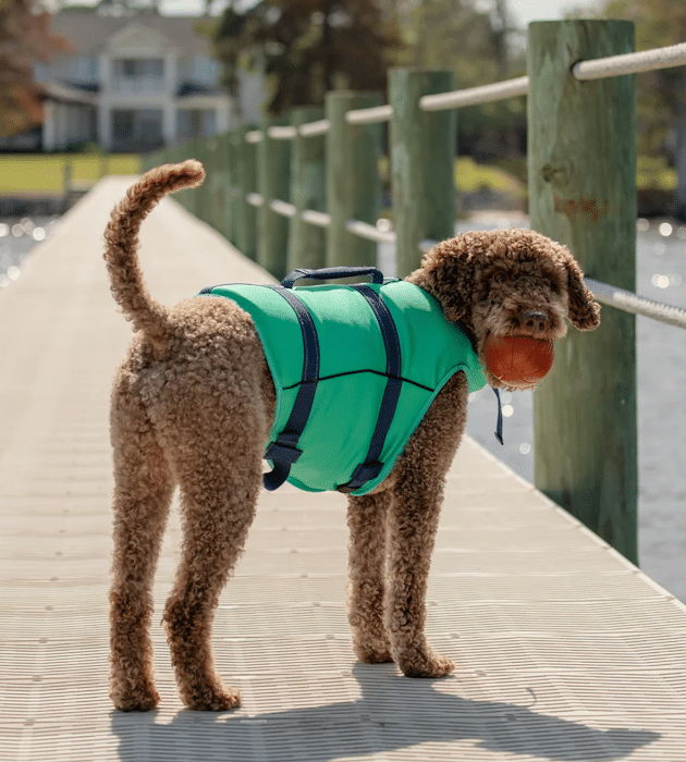 Line + Cleat Dog Life Jacket