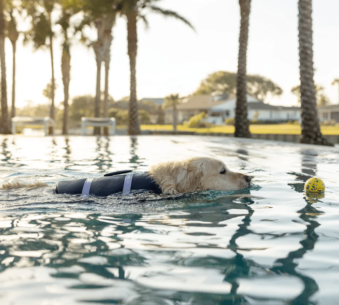 Line + Cleat Dog Life Jacket