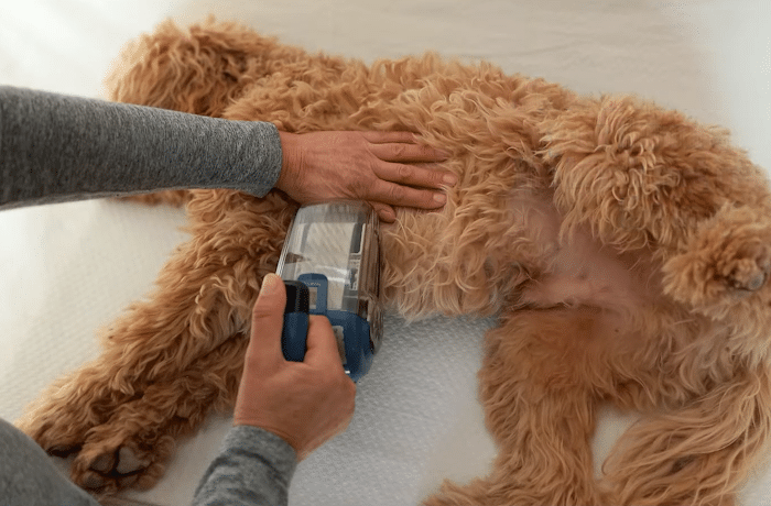 DP Nederland ADB Petite Makes Grooming Long-Haired Pets Easier