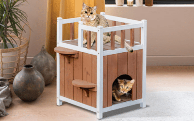 Win World Cat House Gives Cats a Comfortable, Secure Space to Rest
