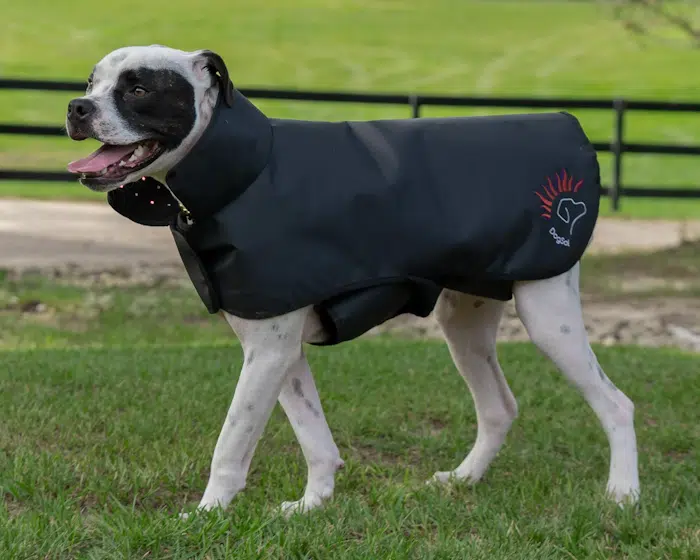 AnimaSol DogSol Blanket
