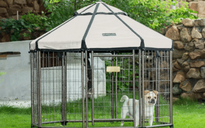 Win World Pet Gazebo 3ft Dog Kennel Gives Small Dogs a Safe Space to Relax