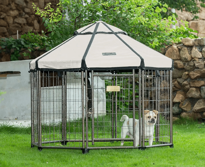 Win World Pet Gazebo 3ft Dog Kennel